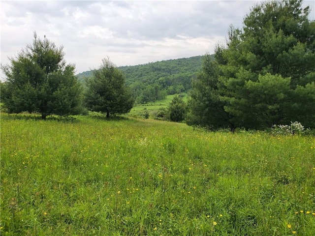 1059 County Highway 4, Butternuts, NY 13849
