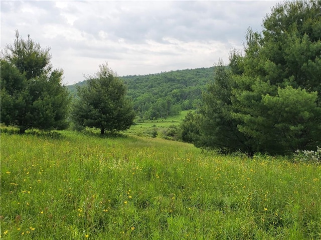 1059 County Highway 4, Butternuts, NY 13849