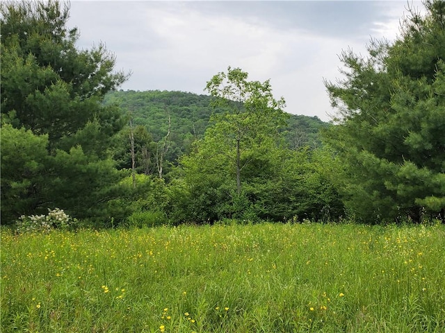 1059 County Highway 4, Butternuts, NY 13849