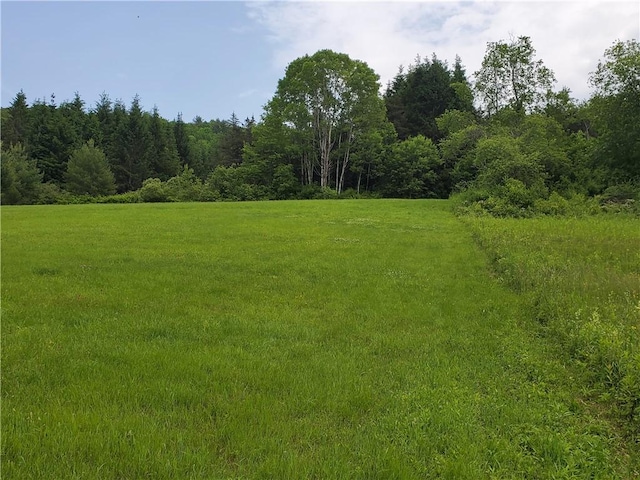 1059 County Highway 4, Butternuts, NY 13849