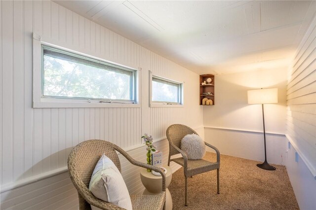 234 Depew St, Rochester, NY 14611 - sitting room featuring carpet floors