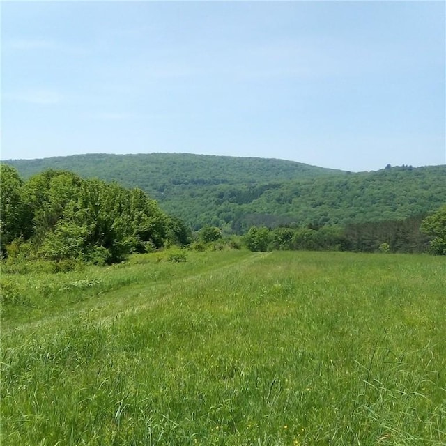 3190 County Highway 22, Walton, NY 13856 - photo 4