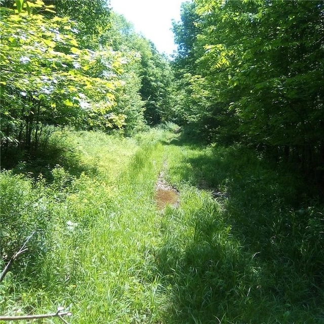 3190 County Highway 22, Walton, NY 13856 - photo 5