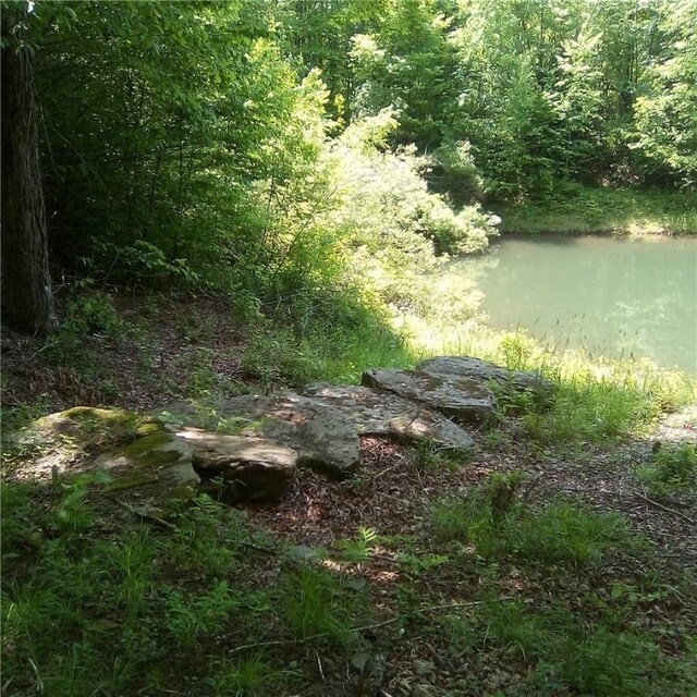 3190 County Highway 22, Walton, NY 13856 - photo 6