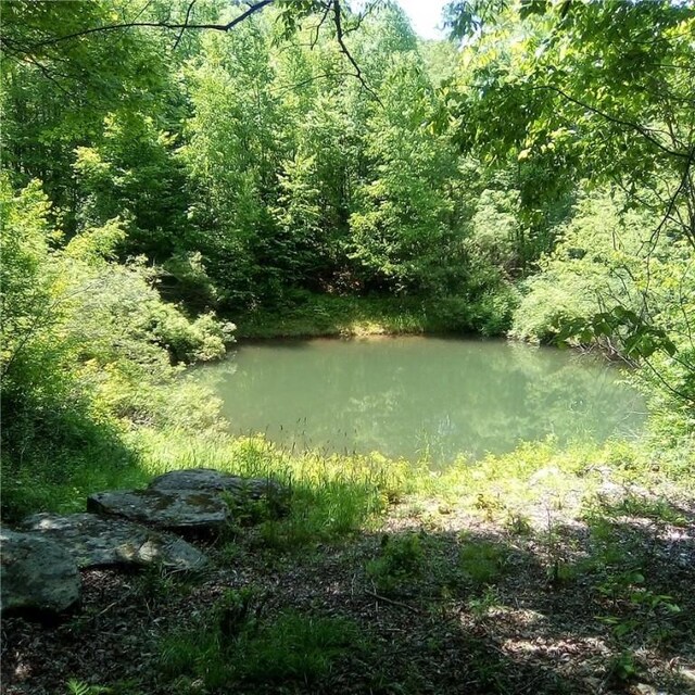 3190 County Highway 22, Walton, NY 13856 - photo 7