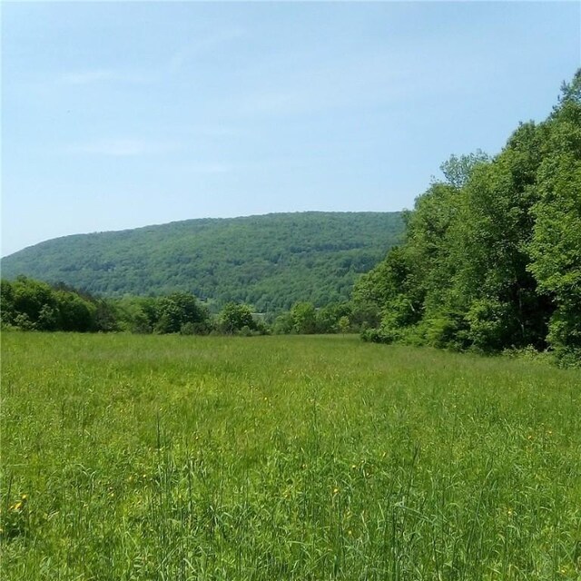 3190 County Highway 22, Walton, NY 13856 - photo 8