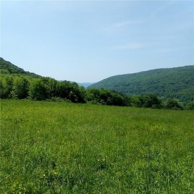 3190 County Highway 22, Walton, NY 13856 - photo 9