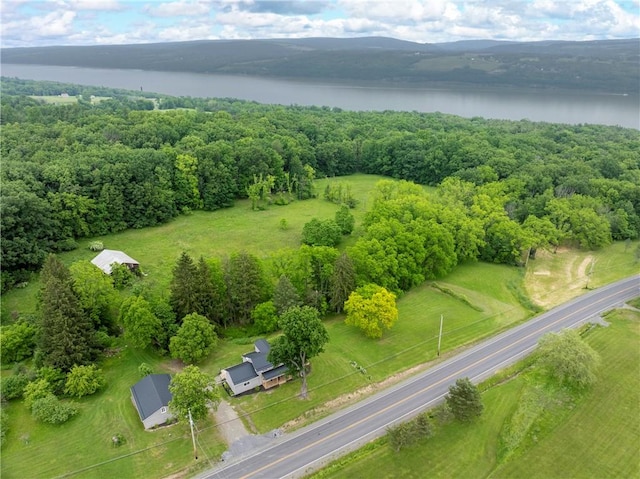 3228 County Road 28, Reading, NY 14891 - drone / aerial view of a large body of water and a forest