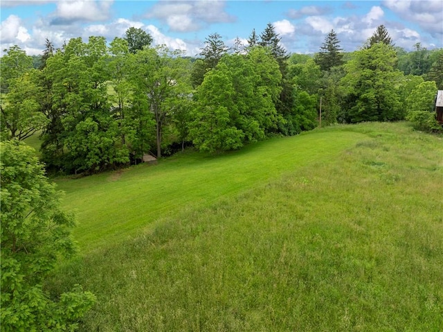 3228 County Road 28, Reading, NY 14891 - view of green lawn featuring a wooded view