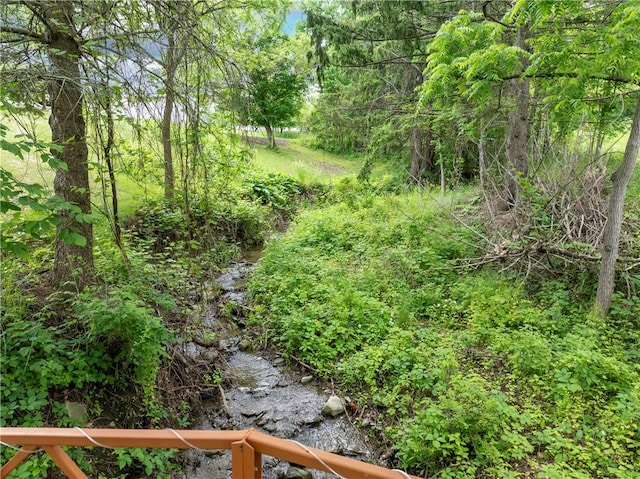 3228 County Road 28, Reading, NY 14891 - view of nature