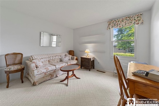 12 Ahrens Pl, Pomfret, NY 14063 - living area with light colored carpet