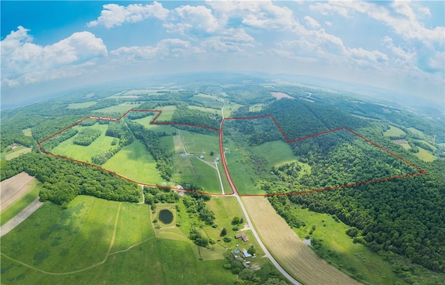 377 Bingham Center Rd, Bingham, PA 16923 - aerial view of sparsely populated area with property boundaries highlighted