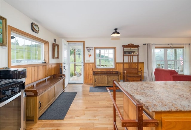 377 Bingham Center Rd, Bingham, PA 16923 - kitchen featuring stove, wainscoting, wood walls, light wood finished floors, and light stone counters