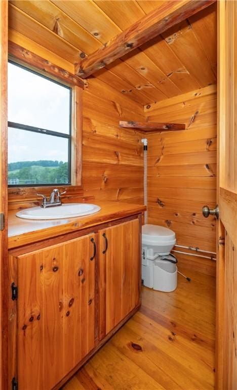 377 Bingham Center Rd, Bingham, PA 16923 - bathroom featuring wood finished floors, vanity, and wooden walls