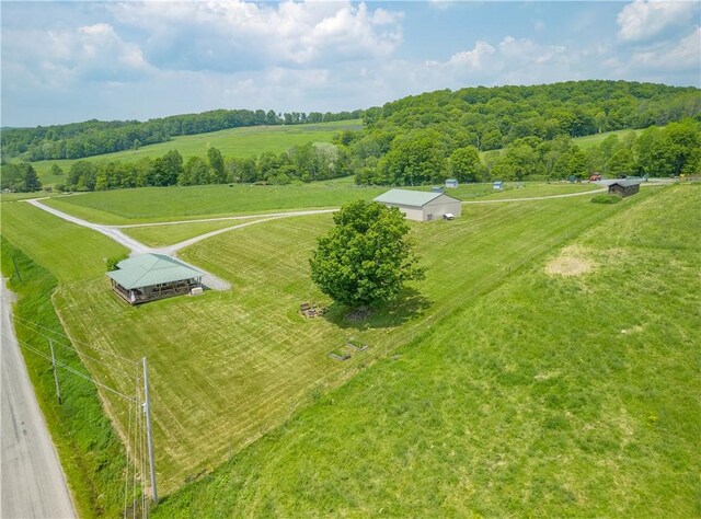 377 Bingham Center Rd, Bingham, PA 16923 - overview of rural landscape