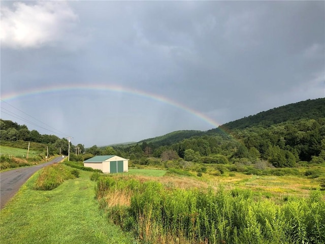 377 Bingham Center Rd, Bingham, PA 16923 - view of mountain backdrop with rural landscape and a forest