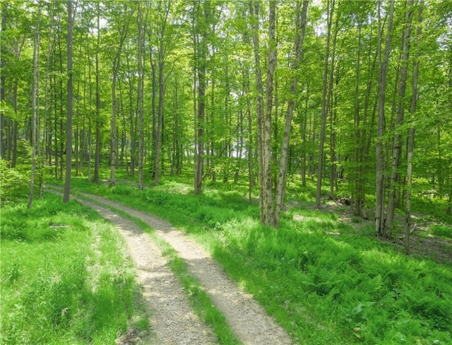377 Bingham Center Rd, Bingham, PA 16923 - view of street with a view of trees