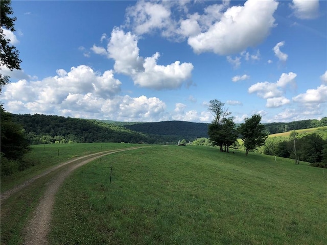 377 Bingham Center Rd, Bingham, PA 16923 - view of street with a rural view