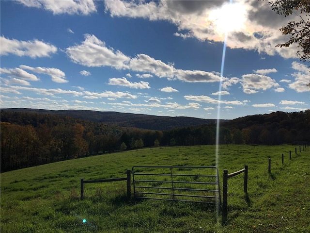 377 Bingham Center Rd, Bingham, PA 16923 - mountain view featuring rural landscape and a pastoral area