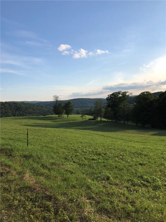 377 Bingham Center Rd, Bingham, PA 16923 - view of grassy yard
