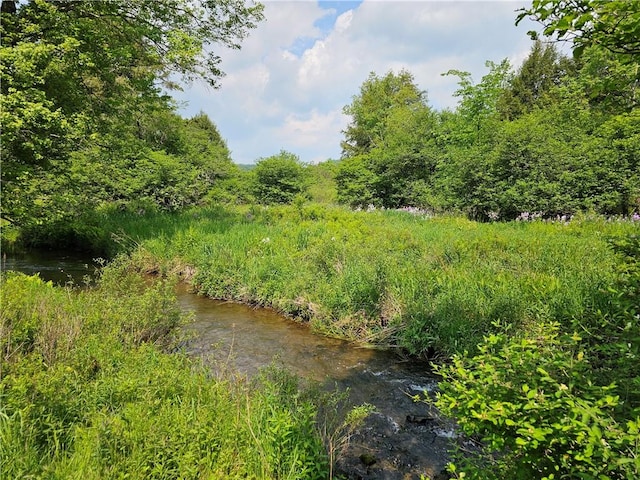 377 Bingham Center Rd, Bingham, PA 16923 - view of nature