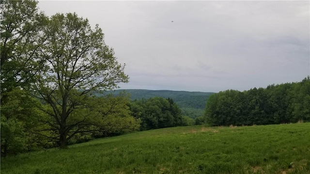 377 Bingham Center Rd, Bingham, PA 16923 - view of mountain background featuring a heavily wooded area and rural landscape