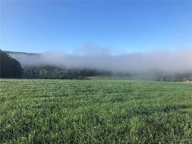 377 Bingham Center Rd, Bingham, PA 16923 - view of yard with a rural view