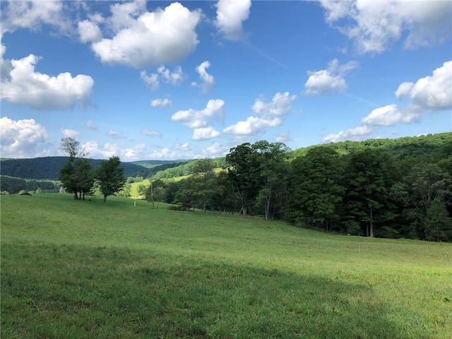 377 Bingham Center Rd, Bingham, PA 16923 - view of grassy yard featuring a view of rural / pastoral area and a forest view