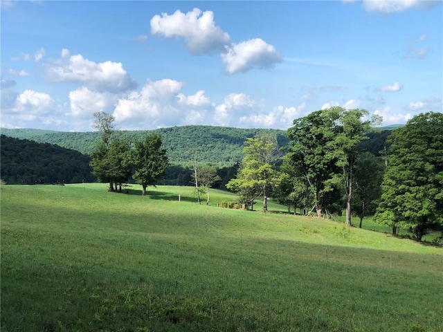 377 Bingham Center Rd, Bingham, PA 16923 - view of mountain background featuring rural landscape