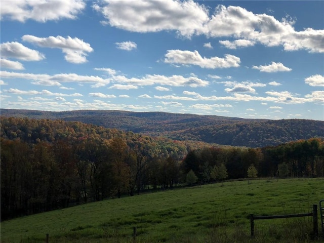 377 Bingham Center Rd, Bingham, PA 16923 - mountain view with a heavily wooded area and rural landscape