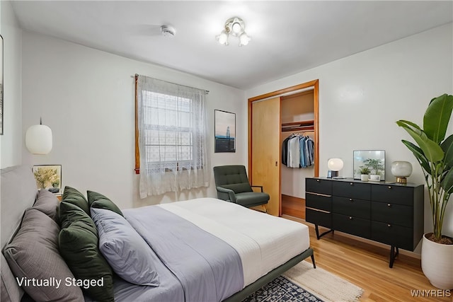 45 Eckhert St, Buffalo, NY 14207 - bedroom with light wood finished floors and a closet