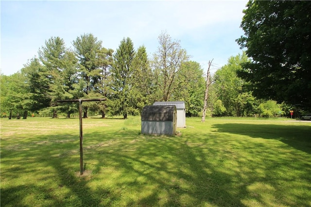 136 Knapp St, Albion, NY 14411 - view of grassy yard featuring a storage shed