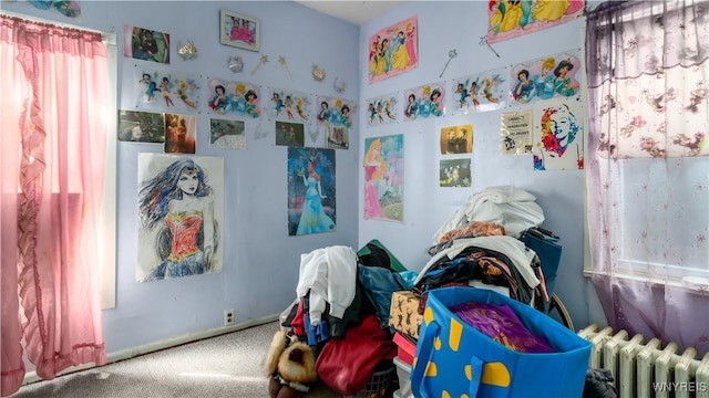 2009 Seneca St, Buffalo, NY 14210 - recreation room featuring radiator and carpet flooring