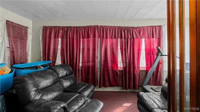 2009 Seneca St, Buffalo, NY 14210 - view of carpeted living area