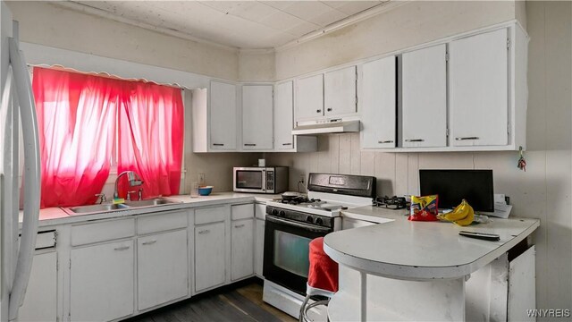 2009 Seneca St, Buffalo, NY 14210 - kitchen with white gas range, under cabinet range hood, stainless steel microwave, light countertops, and refrigerator