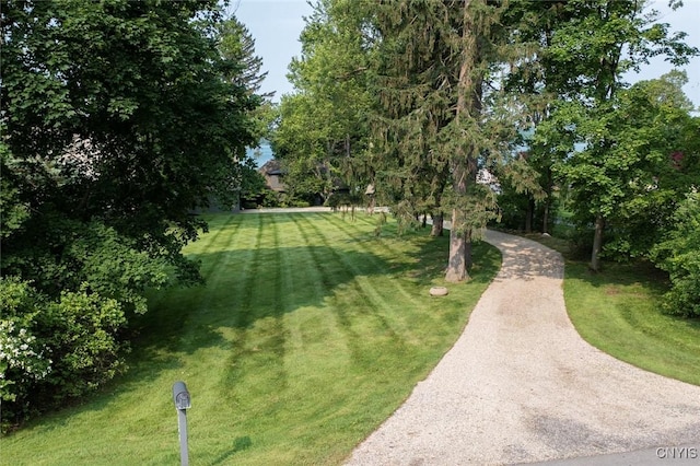 3133 E Lake Rd, Skaneateles, NY 13152 - photo 3