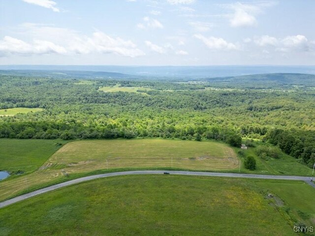 Grand View Dr, Schuyler, NY 13340 - photo 3