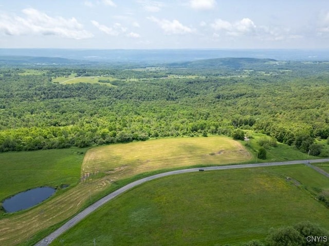 Grand View Dr, Schuyler, NY 13340 - photo 4