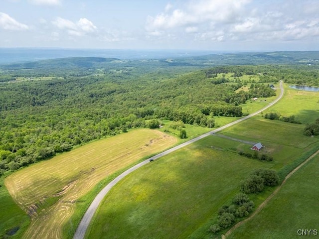 Grand View Dr, Schuyler, NY 13340 - photo 5