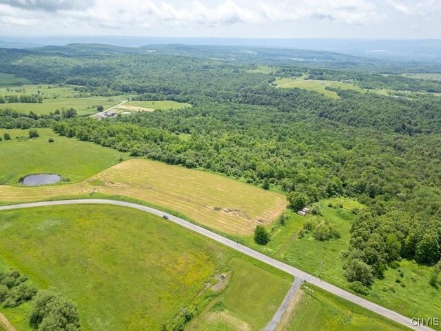 Grand View Dr, Schuyler, NY 13340 - photo 6