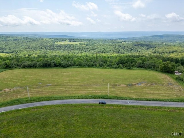 Grand View Dr, Schuyler, NY 13340 - photo 7