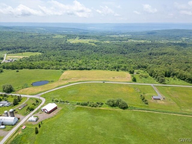 Grand View Dr, Schuyler, NY 13340 - photo 8