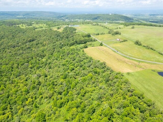 Grand View Dr, Schuyler, NY 13340 - photo 10