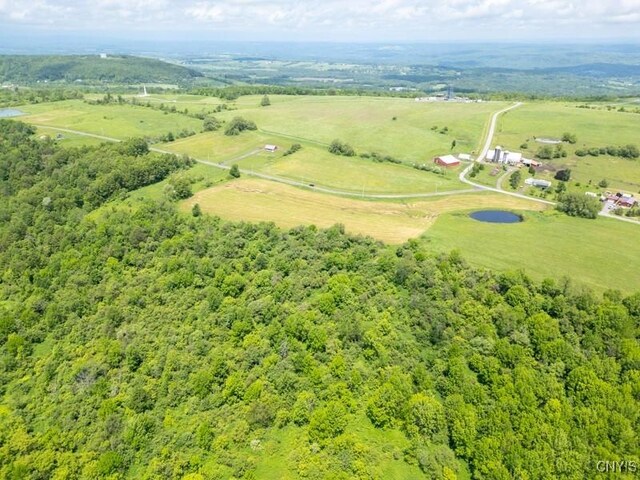 Grand View Dr, Schuyler, NY 13340 - photo 11