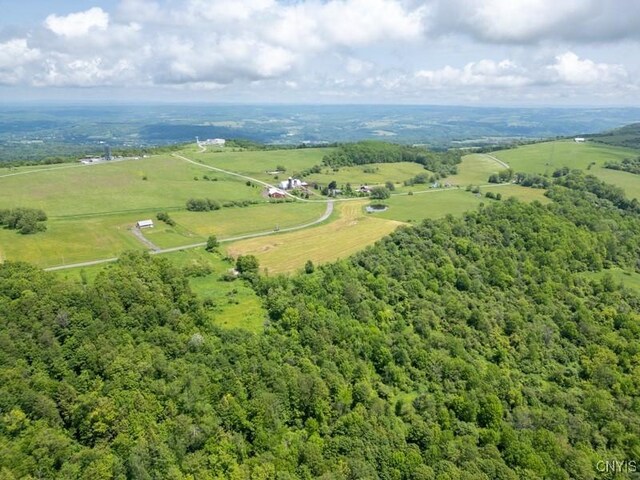 Grand View Dr, Schuyler, NY 13340 - photo 12