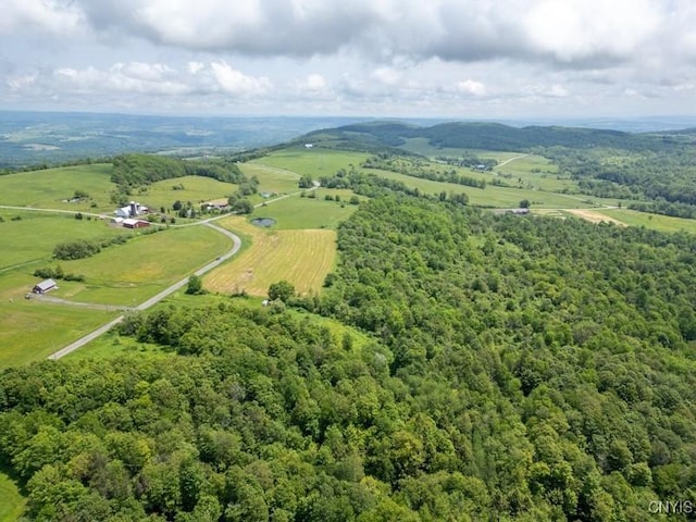 Grand View Dr, Schuyler, NY 13340 - photo 13
