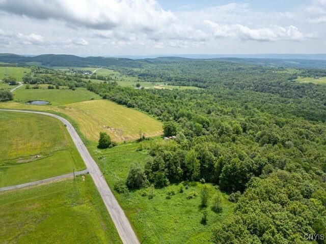 Grand View Dr, Schuyler, NY 13340 - photo 14