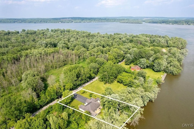 98 Krystyna Ln Unit 6, Cato, NY 13080 - aerial view of property and surrounding area featuring a large body of water and property boundaries highlighted