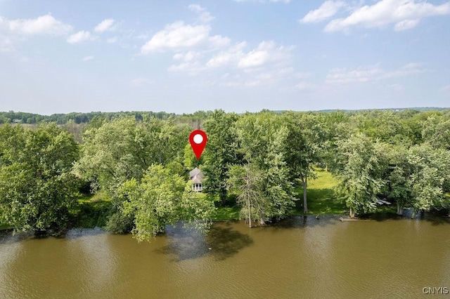 98 Krystyna Ln Unit 6, Cato, NY 13080 - bird's eye view of a large body of water and a heavily wooded area