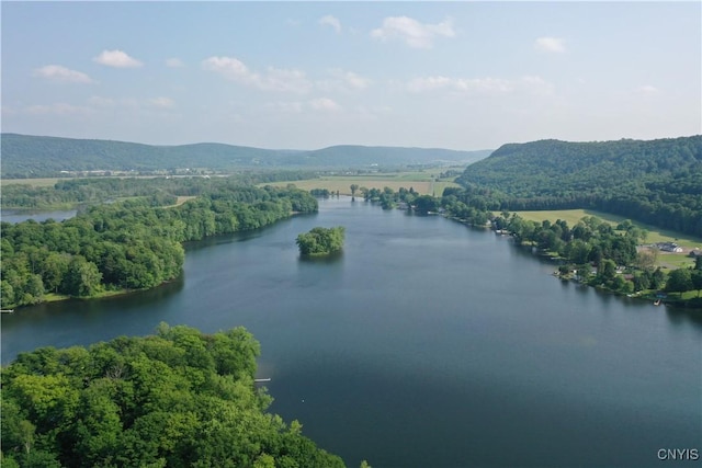 7530 Song Lake Rd, Preble, NY 13159 - water view with a heavily wooded area